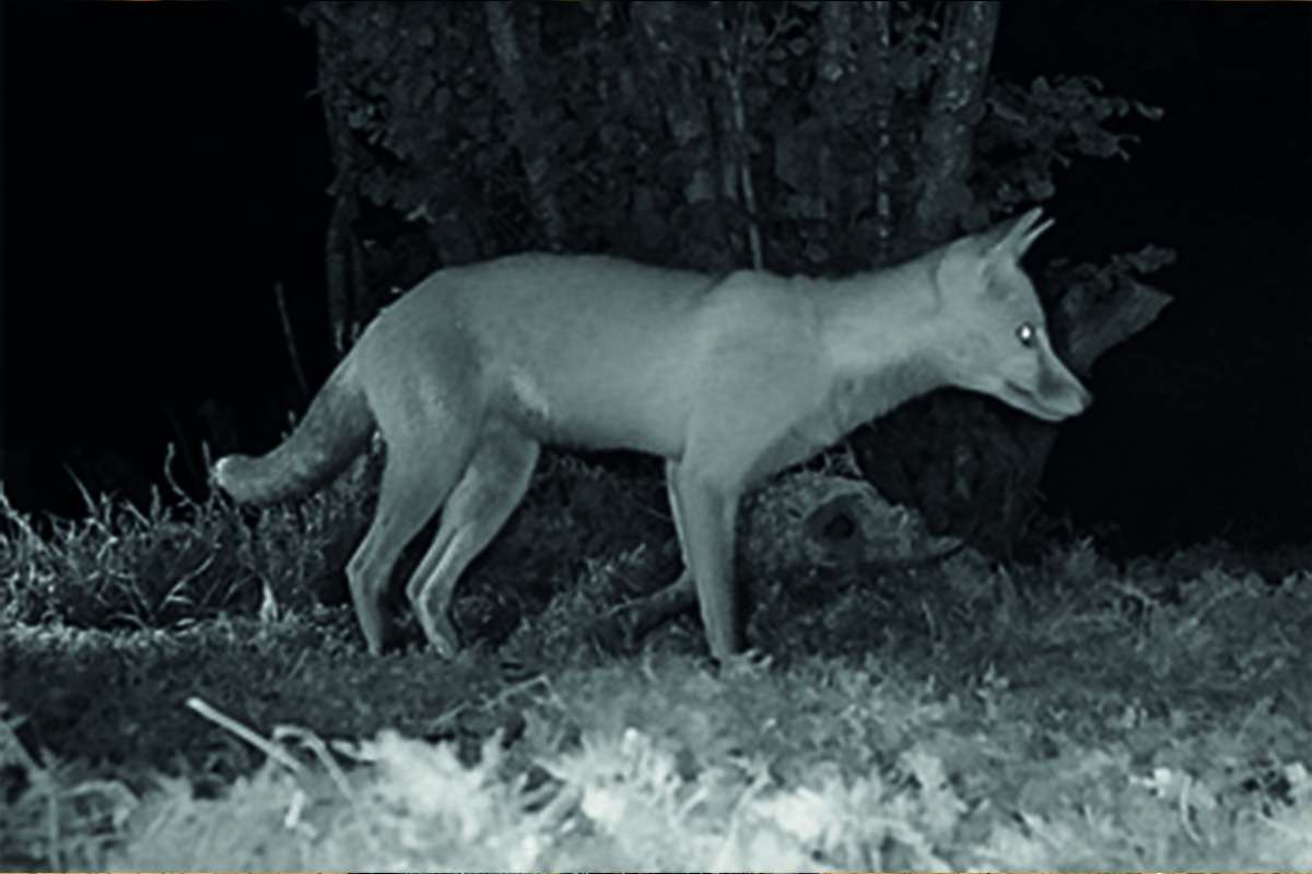 Guide To Night Vision Equipment