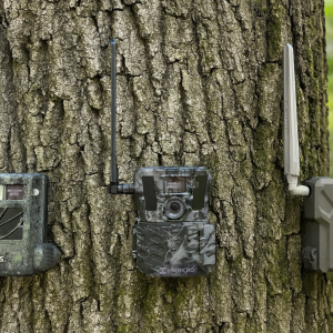 The Ultimate Guide to Choosing the Best Trail Camera for Wildlife Monitoring (UK)