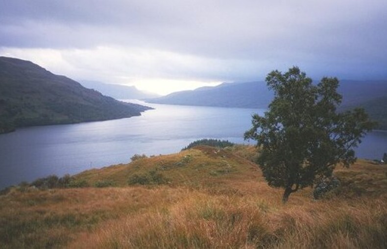 Best Wildlife Watching Spots in the UK & How to Photograph Them