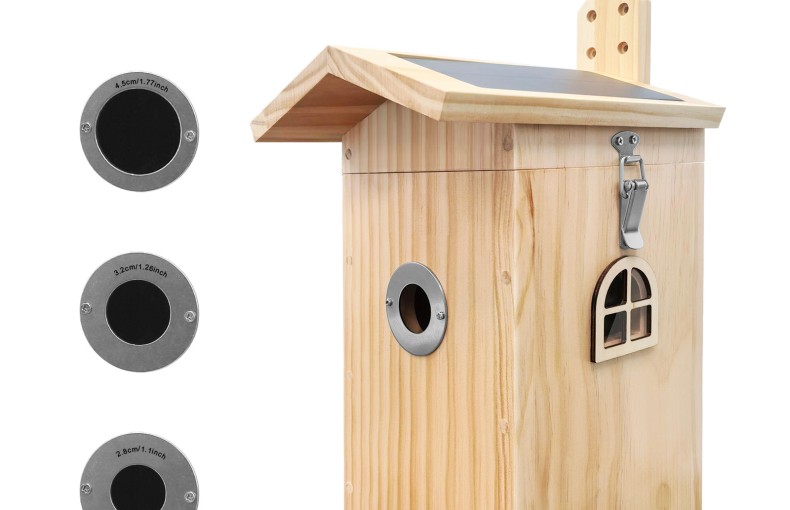 Camouflage EZ-Nest Eye Smart Bird Box Camera