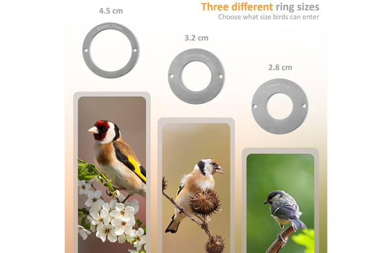 Camouflage EZ-Nest Eye Smart Bird Box Camera