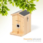 Camouflage EZ-Nest Eye Smart Bird Box Camera