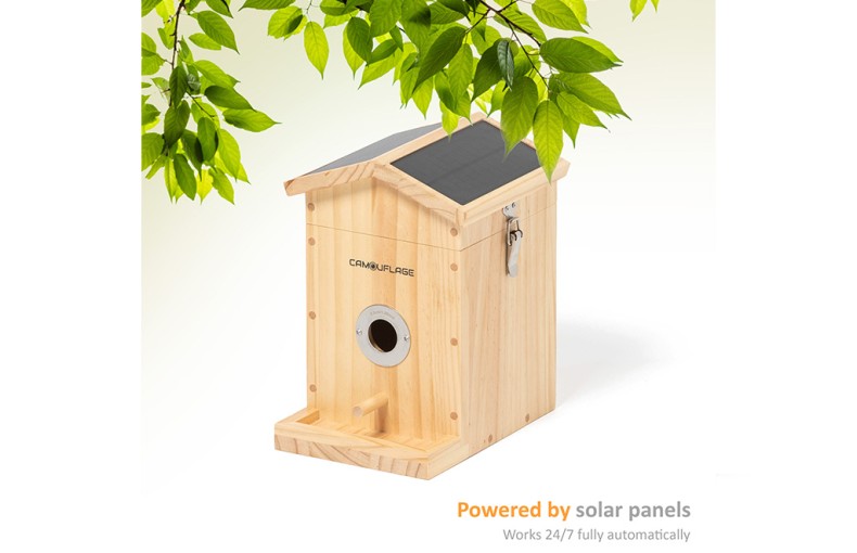 Camouflage EZ-Nest Eye Smart Bird Box Camera