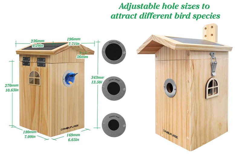 Camouflage EZ-Nest Eye Smart Bird Box Camera