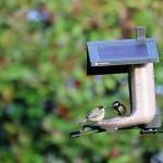 Feathersnap Smart WiFi Bird Feeder