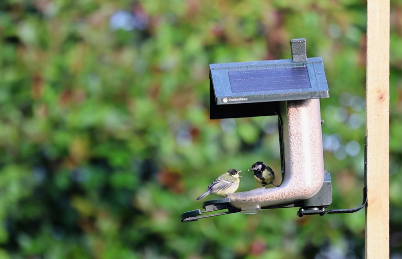 Feathersnap Smart WiFi Bird Feeder