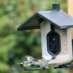 Feathersnap Smart WiFi Bird Feeder