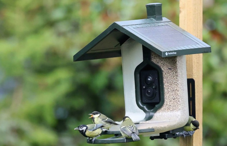 Feathersnap Smart WiFi Bird Feeder