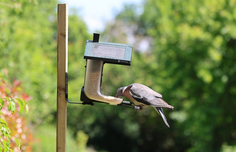 Feathersnap Smart WiFi Bird Feeder