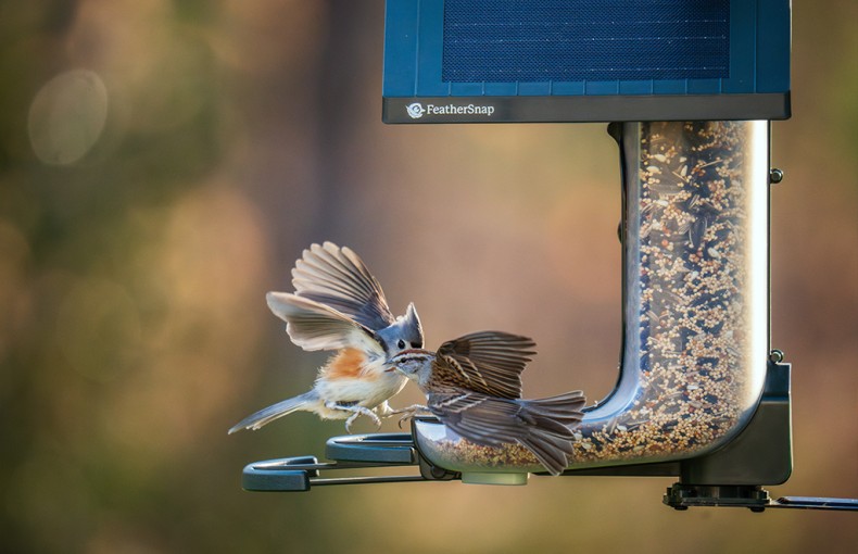 Feathersnap Smart WiFi Bird Feeder