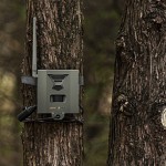 Spypoint SB 500 Lock Box