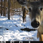 Spypoint Flex M Twin Pack Cellular Trail Camera System