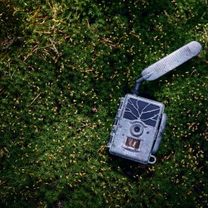 Zeiss Secacam 1 Wildlife Camera