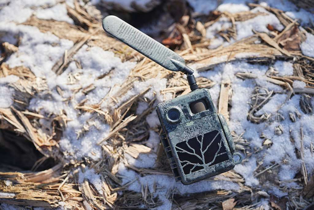 Guide To Wildlife Cameras
