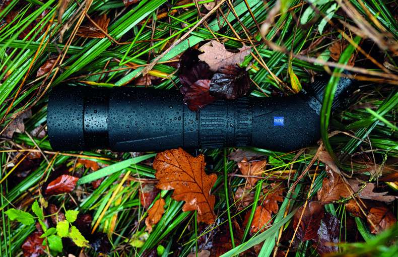 Exploring Nature Through the Lens: Tips for Using Spotting Scopes